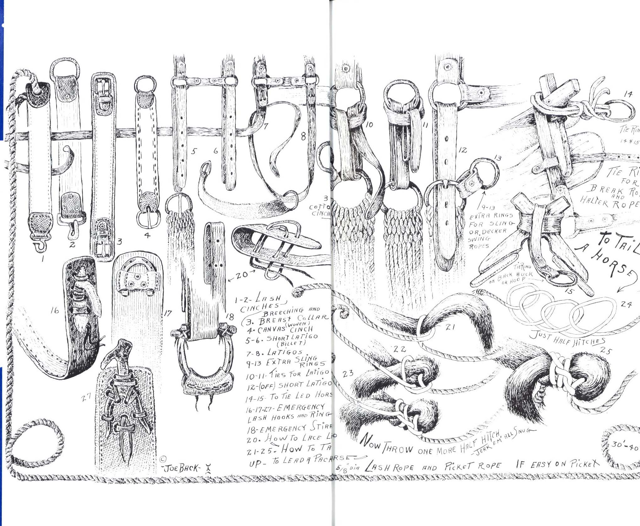 HORSES, HITCHES & ROCKY TRAILS: "the packer's bible". john1669b